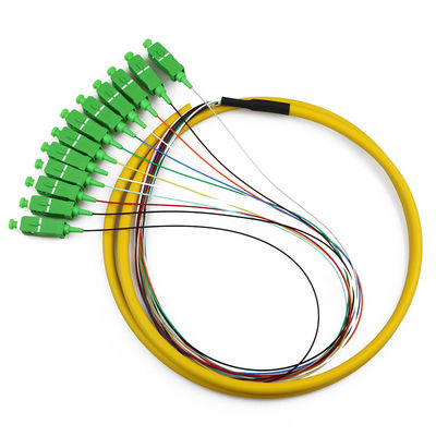SC/APC-NC, LSZH, 0.9mm, 12 Fiber, G.657A2, 1 meter Color-coded Distribute Style Pigtail Packs