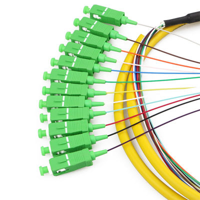 SC/APC-NC, LSZH, 0.9mm, 12 Fiber, G.657A2, 1 meter Color-coded Distribute Style Pigtail Packs