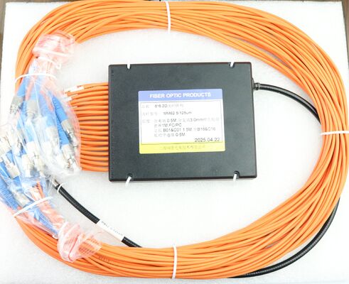 مصفوفة ألياف 6x6 مربعة ثنائية الأبعاد FA MM 62.5/125um مع محاذاة ألياف الأنبوب المدرعة