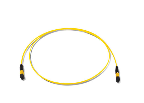 IL 0.70dB  MPO/MTP SM Fiber Optic Patch Cords